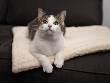 TrendPet Лежанка для собак і котів, двостороння, з підкладкою, 90x65 см, бежева