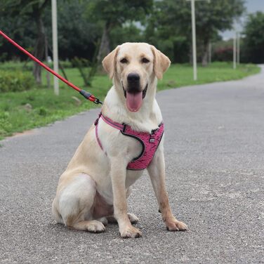 Нашийник для собак середніх та маленьких порід, цуценят, анти-тяга, безпечний, світловідбиваючий, м'який, регульований (S, Червоний)