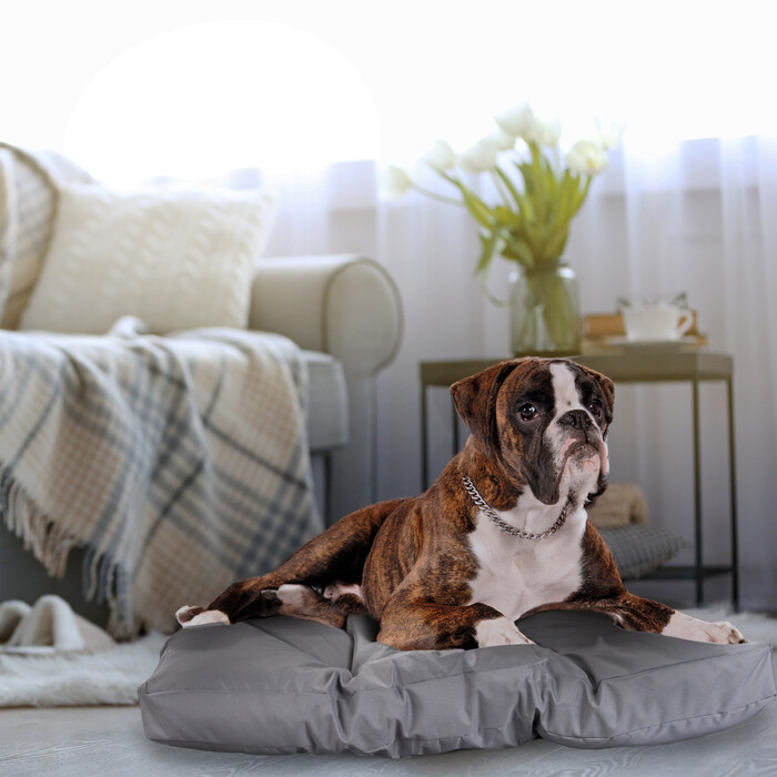 Relaxdays Dog Bed, Grey