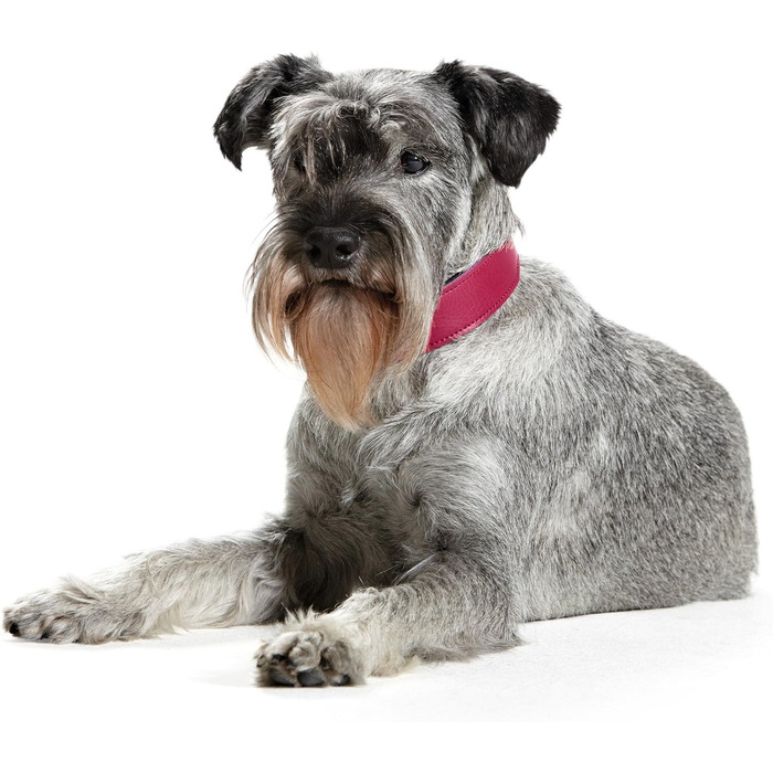 Нашийник для собак HUNTER BASIC, рожевий (полуниця), 55 см, шкіра, міцний, стильний