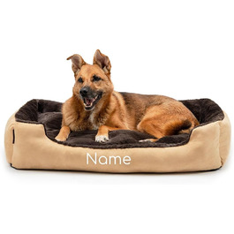 колір: бежевий/бру́н