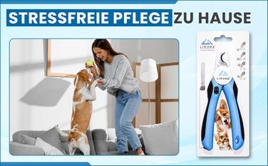 Професійні ножиці для обрізання кігтів собак, котів та дрібних тварин з нержавіючої сталі, з функцією зупинки, інтегрованим напильником та неслизькою ручкою. Підходять для початківців. Колір: блакитний