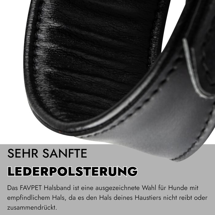 Стильне шкіряне нашийник для породистих собак (Вінтерхаунд, Віпет, Салукі) з QR-кодом, розмір M