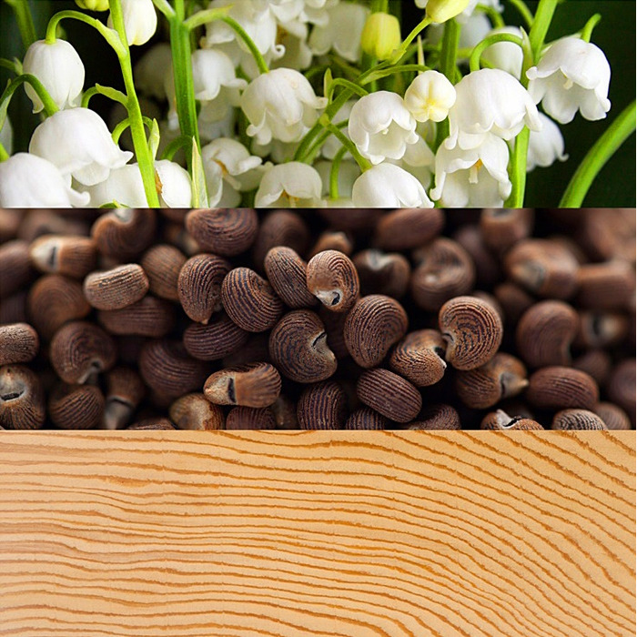 Парфумована вода для жінок Calvin Klein Beauty, 100 мл