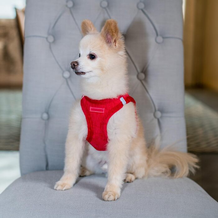 Шлейка для собак Voyager Step-In з плюшу від Best Pet Supplies, розмір L (45-52 см), колір шоколадний