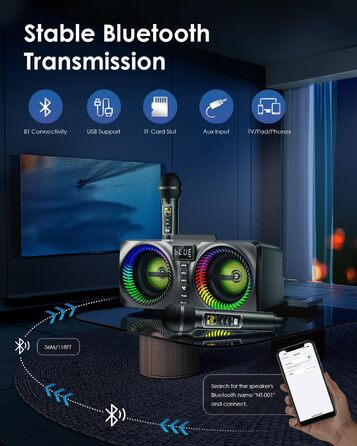 Караоке система All-in-One з Bluetooth, 2 мікрофонами та акустикою 30W, PA система для вечірок (Чорний)