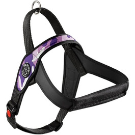 колір: пурпурний холі