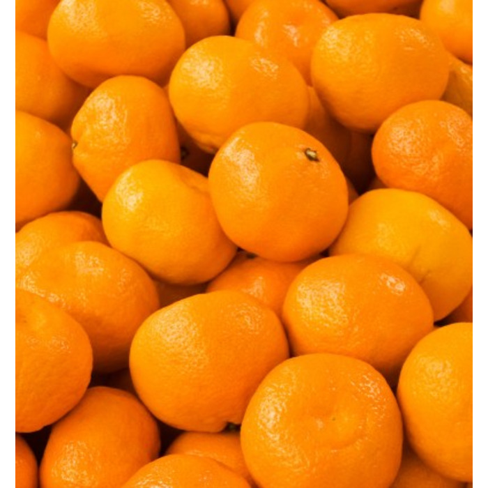 Жіночі парфуми Yodeyma Cheante, квіткова парфумована вода, 100 мл