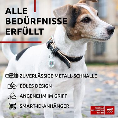 Нашийник для собак WAUDOG: шкіряний нашийник для великих, середніх та маленьких собак, цуценят. Ширина 15 мм, довжина 27-36 см. Чорний колір.