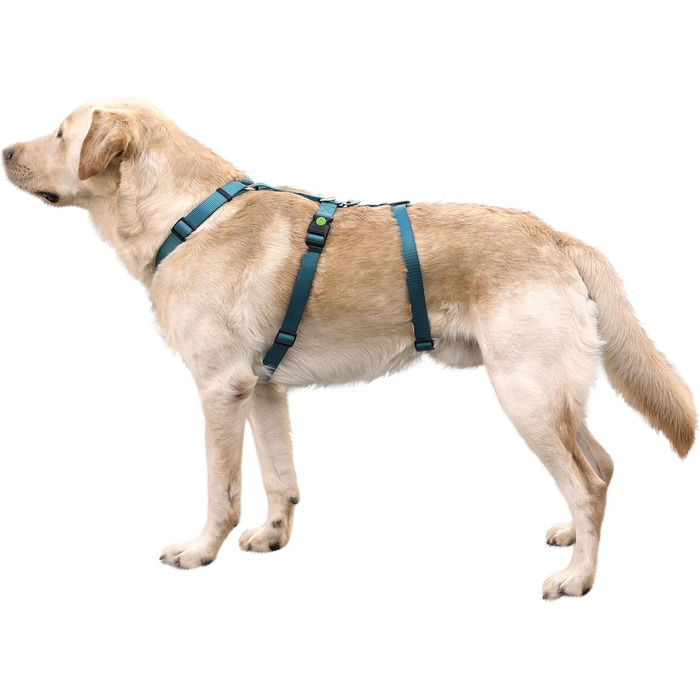 Нашийник-захист для собак Kerbl Pet Panikgeschirr, 38-52 см, 20 мм, для тривожних собак, регульований, Petrol