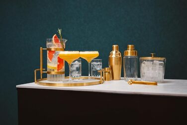 Бокали для Мартіні Leopold Vienna Arinto 2 шт. 300 мл прозорі