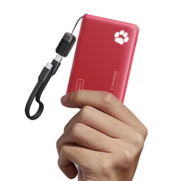 Power Bank INIU 10000mAh 45W USB-C PD3.0 З фонариком, для iPhone/Samsung/iPad (Червоний)