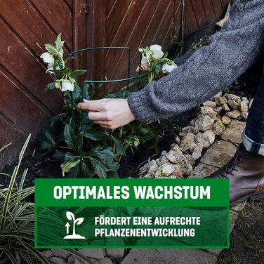 GardenGloss® підпори для кущів зі сталевим покриттям (10 шт) – напівкруглі підставки для квітів 70×40 см, опори для гортензій і троянд, сталева підпора для рослин