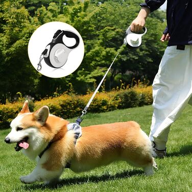 Висувна поводок для собак та котів Rollleine 3м з LED-підсвічуванням, до 15 кг