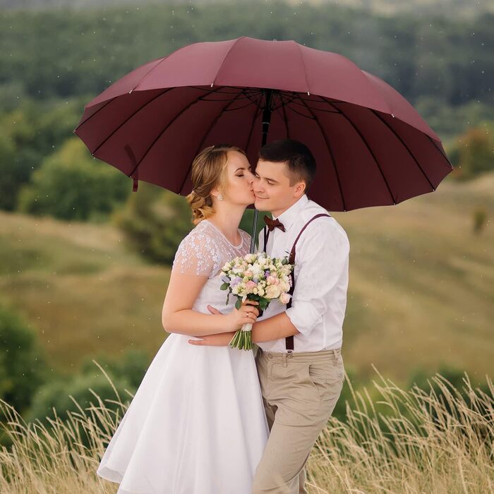 NINEMAX Large Windproof Umbrella - Wooden Handle Walking Umbrella for Men & Women - 16 Ribs Automatic Open - Burgundy