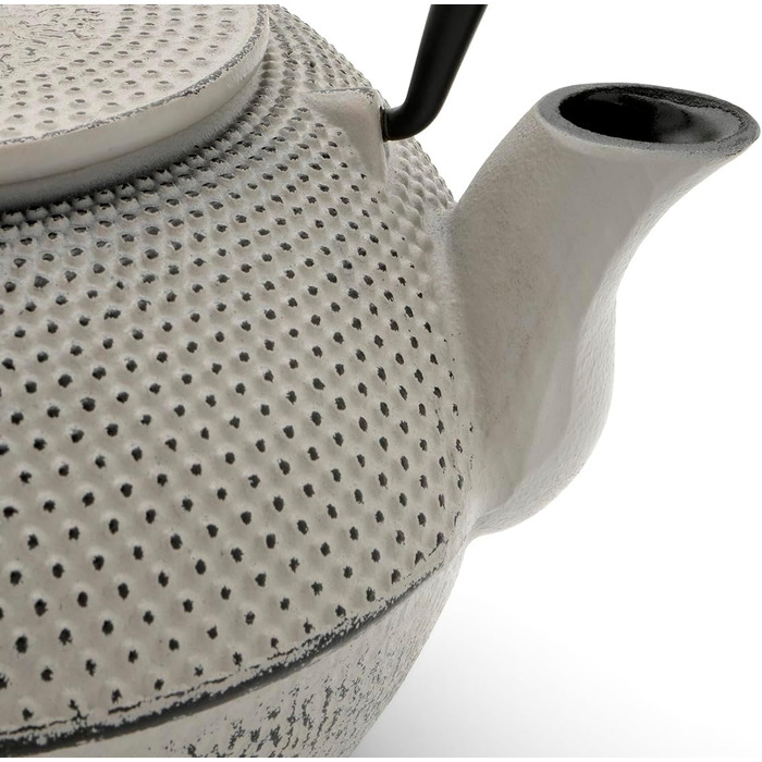 Bredemeijer Blue Flat Asia Teapot 1.1 Liter Cast Iron - Asia Cast Pot with Stainless Steel Tea Filter Strainer (1100ml, Black)