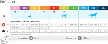 Жилет-шлейка Glow curli Clasp з світловідбиваючим покриттям, сірий, розмір M