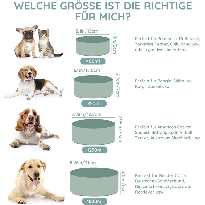 Керамічна миска для собак та котів SPUNKYJUNKY, 1250 мл, світло-зелена