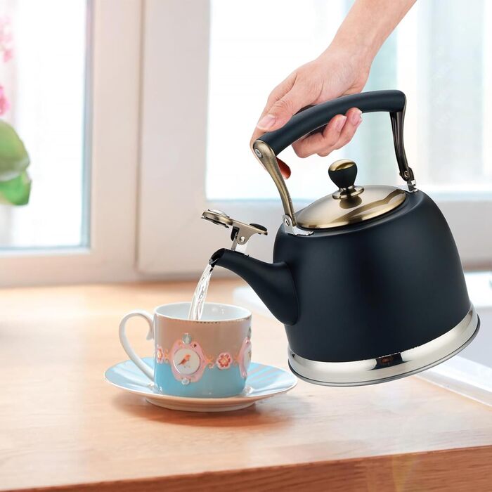 Чайник для кемпінгу з нержавіючої сталі 3L, з носиком, для плити та індукції, чорний
