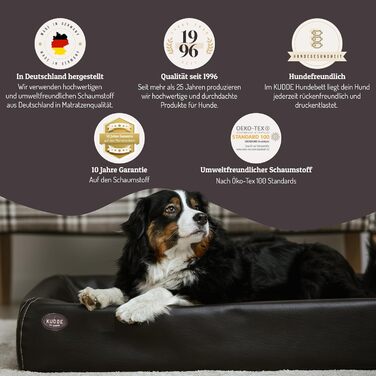 Ортопедичне ліжко для собак SABRO KUDDE Martin Rütter – Штучне шкіряне, миється, водовідштовхувальне, ергономічне, преміум аксесуар для маленьких собак, кремовий колір