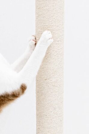 Petrebels Premium Quality Scratching Post Maine, 90 cm High, with Extra Stable Base Plate and Natural Sisal Post, 40 x 40 x 90 cm, Cream/Beige Color