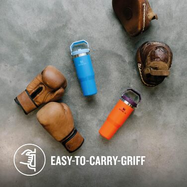 Stanley Flip Straw Tumbler 1.0 Drinking Bottle with Straw 0.89L - Thermos Bottle Keeps 12+ Hours Cold - Dishwasher Safe - Sports Bottle - Water Bottle BPA Free - (Tigerlily Plum)