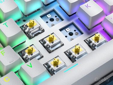 Механічна ігрова клавіатура Geeky GK61: 61 клавіша, Hot-Swap, RGB LED, ANSI US Layout, Speed Silver/Yellow Switch, Чорний колір