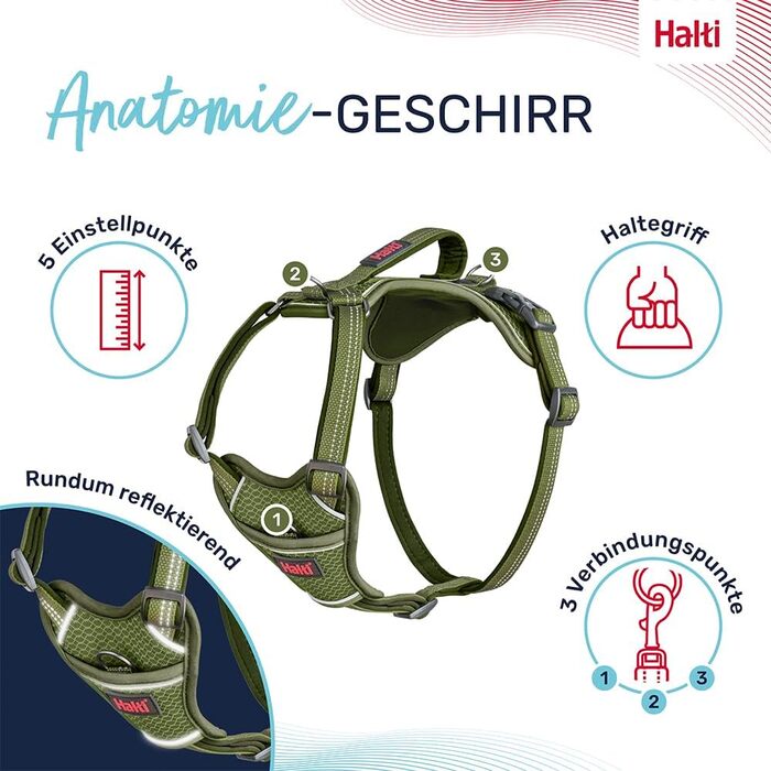 HATI Anatomy Dog Harness with Handle – Freedom of Movement for Your Dog. 3 Connection Points, Neoprene Padding, Adjustable and Reflective (Size Construction Green) (Green, L)