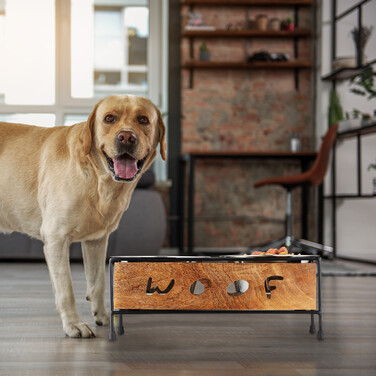 Relaxdays Pet Feeder Station 'Woof' for Dogs