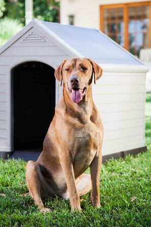 CURVER Dog House - Gray, Waterproof & UV Resistant - Recycled PVC - Large Dog Size - 95x99x99cm