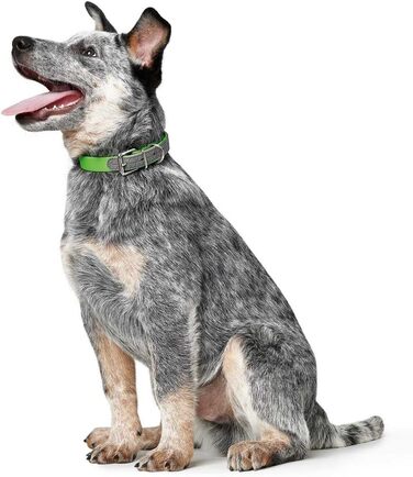 Нашийник для собак HUNTER CONVENIENCE COMFORT, зелений, 35 см: неопренова підкладка, водостійкий, зручний у догляді