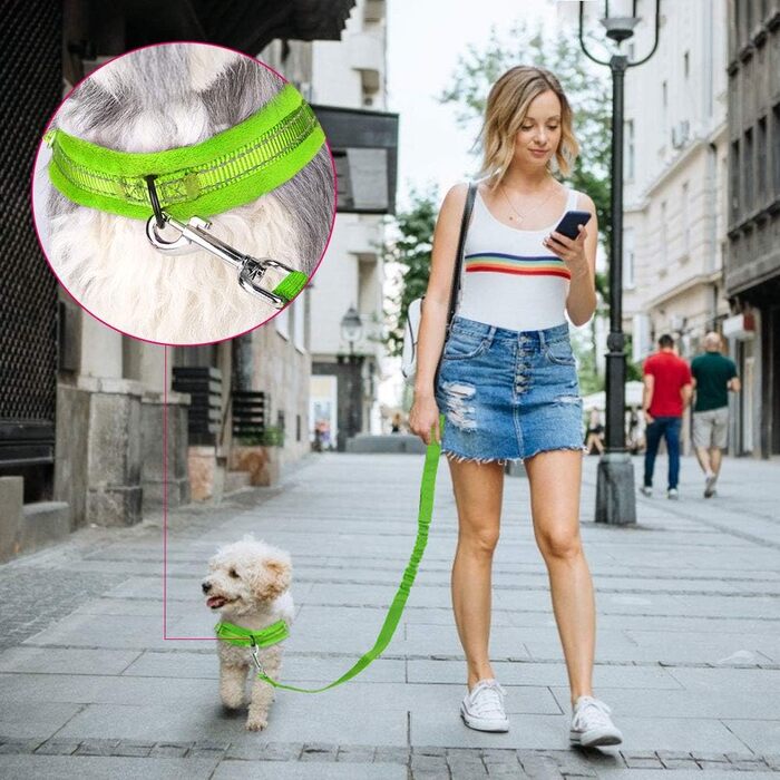 Нашийник для собак LowTon з повідком, анти-тягнучий, відбиваючий, безпечний, проти заплутування, для маленьких та середніх собак та цуценят, чорний (XXS, темно-зелений)