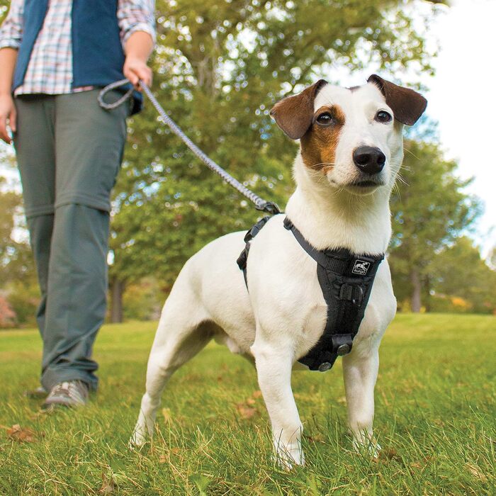 Kurgo TRU-Fit – інтелектуальне обплетення для собак, навчальне обплетення, обплетення проти потягування з кріпленням для безпечного ременя – чорний колір, розмір L