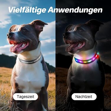 LED-нашийник для собак з підзарядкою USB, вологостійкий, регульований, 3 режими, для малих, середніх та великих собак (Чорний, L(48-60см))