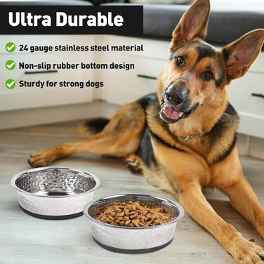 Набори мисок для собак великих, середніх та малих порід, 2 шт. з нержавіючої сталі з антиковзним силіконом, 22 см