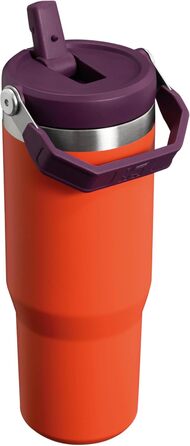Stanley Flip Straw Tumbler 1.0 Drinking Bottle with Straw 0.89L - Thermos Bottle Keeps 12+ Hours Cold - Dishwasher Safe - Sports Bottle - Water Bottle BPA Free - (Tigerlily Plum)