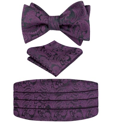 Комплект краватка-хустинка Alizeal Paisley (Aubergine) для чоловіків