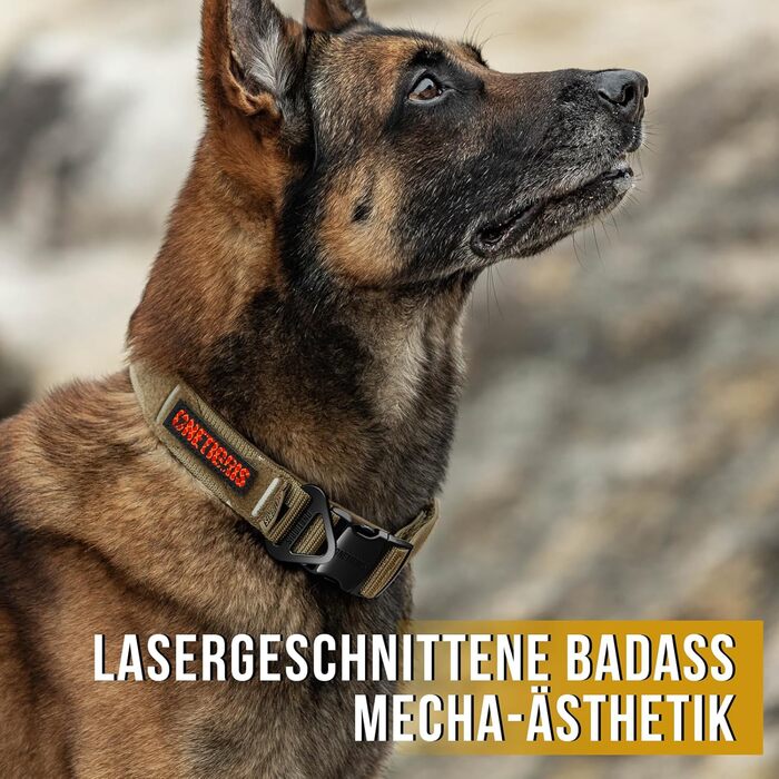 Нашийник для собак OneTigris X11: міцний нейлон, регульований, з м'якою підкладкою, металевий замок та світловідбиваючі елементи