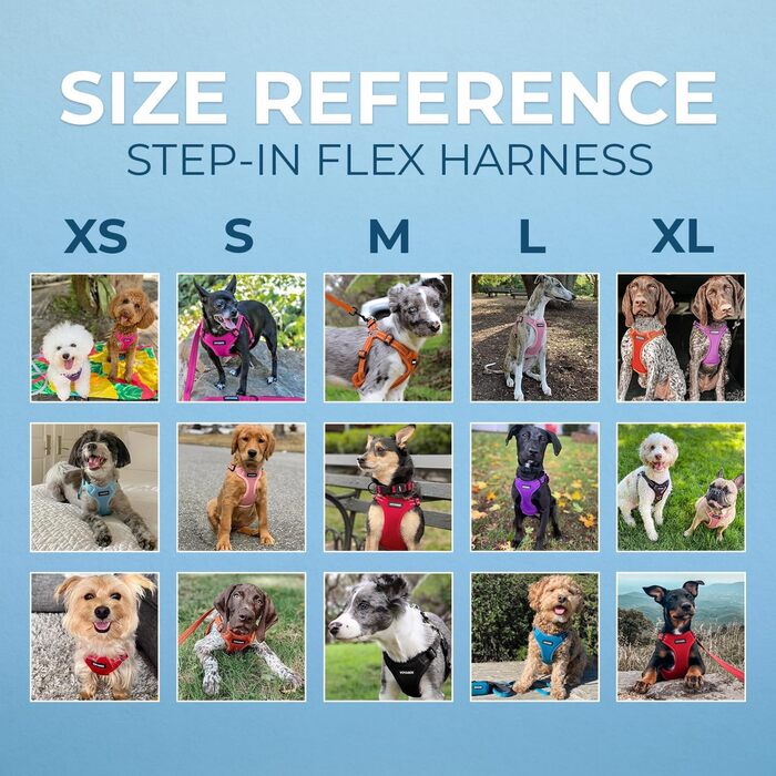 Шлейка для собак Voyager з регулюванням та світловідбиваючими смугами Best Pet Supplies - міцна жилетка для собак без натягу з кільцем для повідка, дихаюча, фуксія, розмір S.