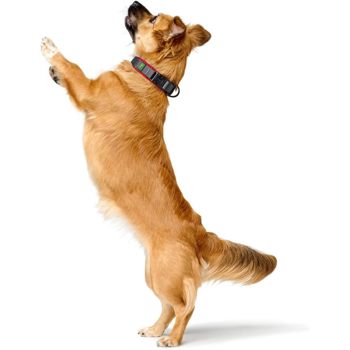 Нашийник для собак HUNTER Maldon, червоний, розмір M: дихаюча сітка, міцний нейлон, безшумний, гіпоалергенний, з поглиначем ривків, адресником, легкий