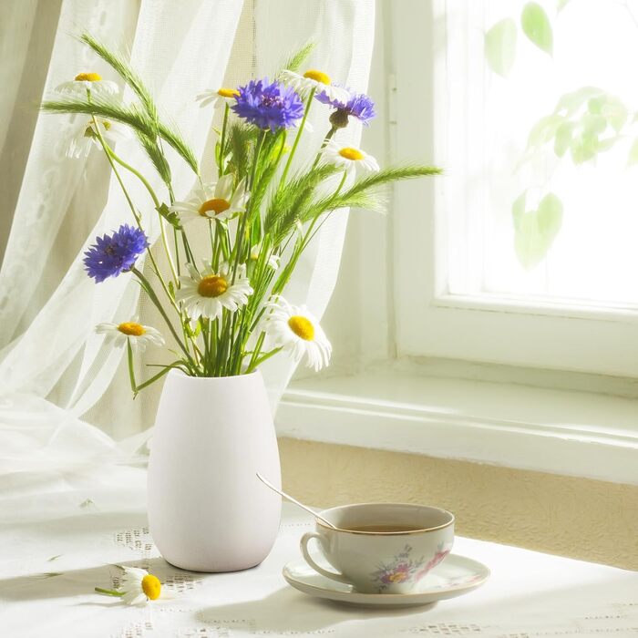 Керамічна ваза RANJIMA біла, ваза для квітів, декор, сучасний стиль, кругла, для пампас трави, 17 см, для дому та офісу