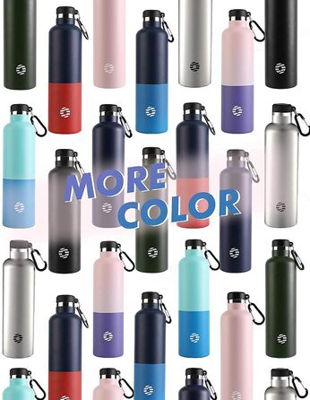 FEIJIAN FJbottle 316 Stainless Steel Vacuum-Insulated Water Bottle 750ml/1000ml with Carabiner, BPA-Free Bottles, Leak-Proof Sports Bottle for Sports, Work, and Travel (1000 ml, Silver)