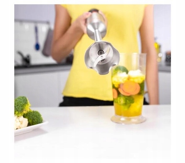 Погружний блендер Zelmer ZHB4650, 1400 Вт, сріблястий/сірий