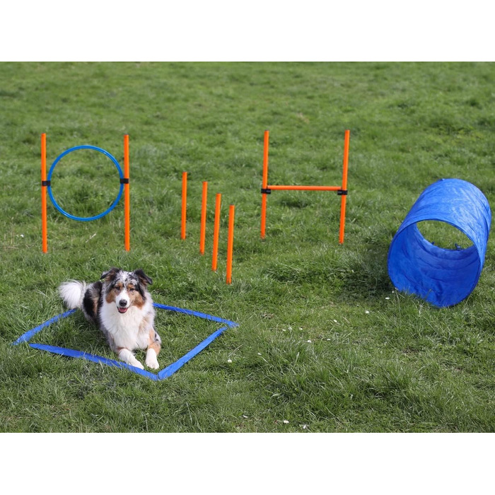 Набір для аджиліті для собак маленьких та середніх порід | Набір для дресирування собак з бар'єрами, тунелем та кільцем для стрибків | Початковий набір для собачого спорту