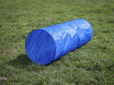 Набір для аджиліті для собак маленьких та середніх порід | Набір для дресирування собак з бар'єрами, тунелем та кільцем для стрибків | Початковий набір для собачого спорту