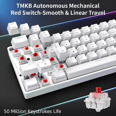 Dierya DK61se - Механічна ігрова клавіатура 60% з Blue Clicky Switch, Anti-Ghosting, USB-C, US Layout, білий колір