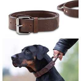 Преміум шкіряний нашийник для собак Джек Рассел з ручкою - надійний нашийник з натуральної шкіри для собак (L, 48.0-60.0 см)