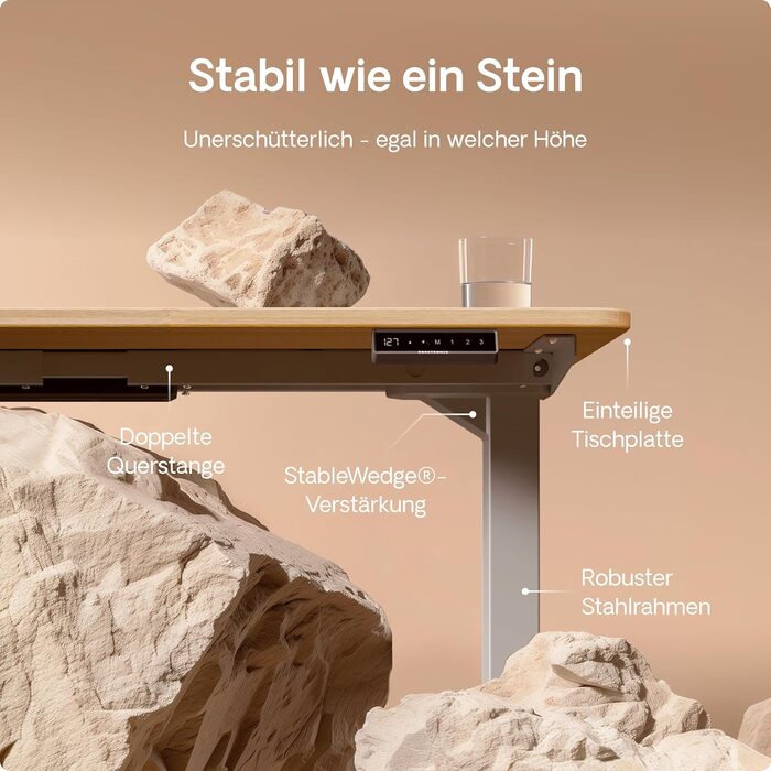 Електричний регульований стіл Desktronic HomePro 160x80 см – з двома моторами, сенсорним керуванням та USB-портами (3.6 Grey + Solid Oak)