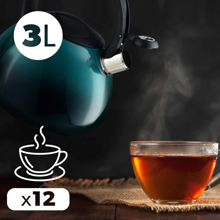 Чайник KADAX з нержавіючої сталі, 3л, з свистком, ретро-дизайн, блакитний