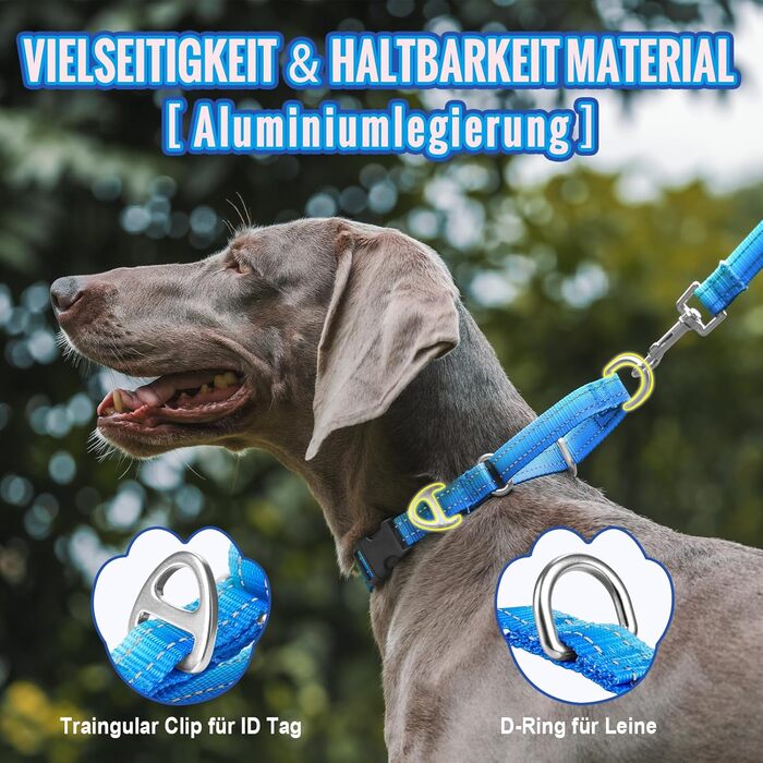 Нашийник для собак Martingale, світловідбиваючий, з зупиняючою функцією, для великих, середніх та маленьких собак, нейлон, блакитний, розмір L